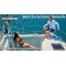 Luxury Catamaran Private Charter